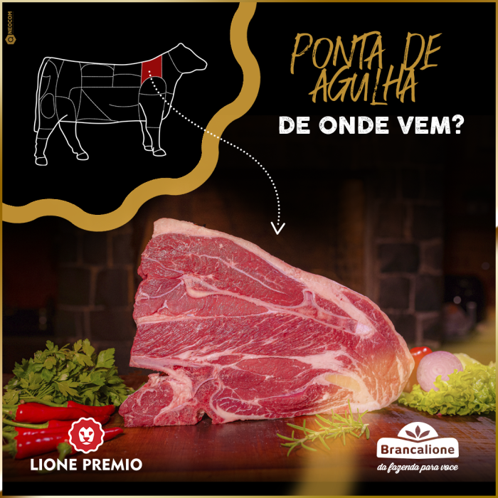 ponta de agulha2